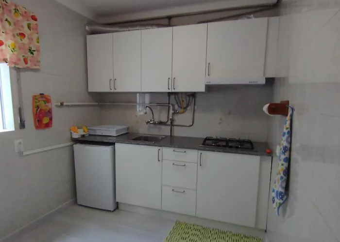 Avos-belise * Nazaré